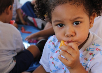 SEMEC lança chamada pública para alimentação escolar 2020